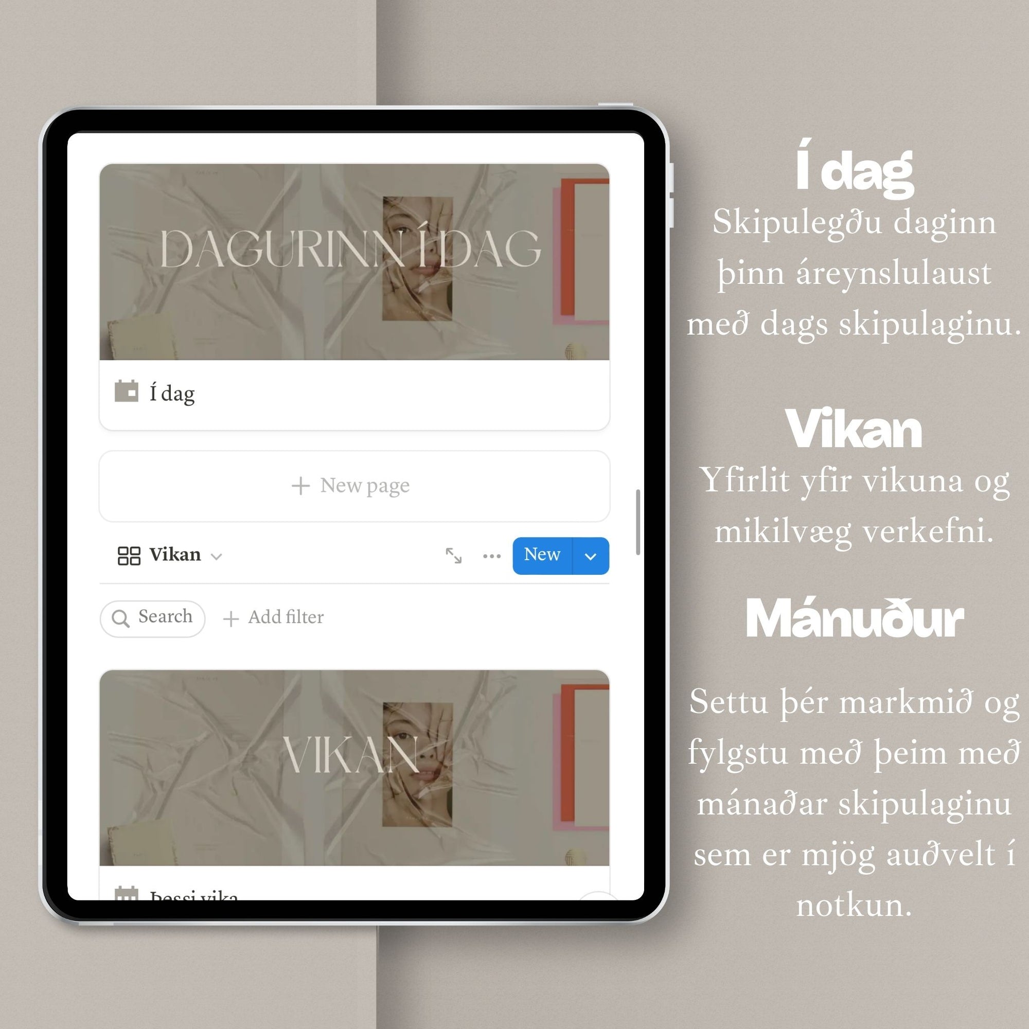 Skipulagið mitt // Notion planner